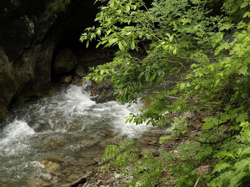AUS04062009 (15).jpg